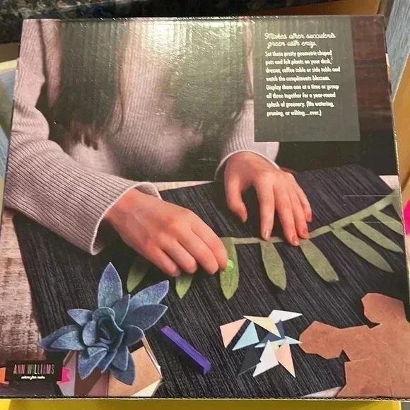 Fun Potted Felt Succulents kit - Picture 2 of 4